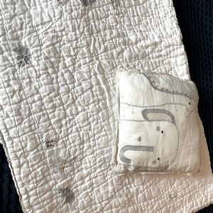 Pottery Barn Crib Quilt and Pillow - Safari !